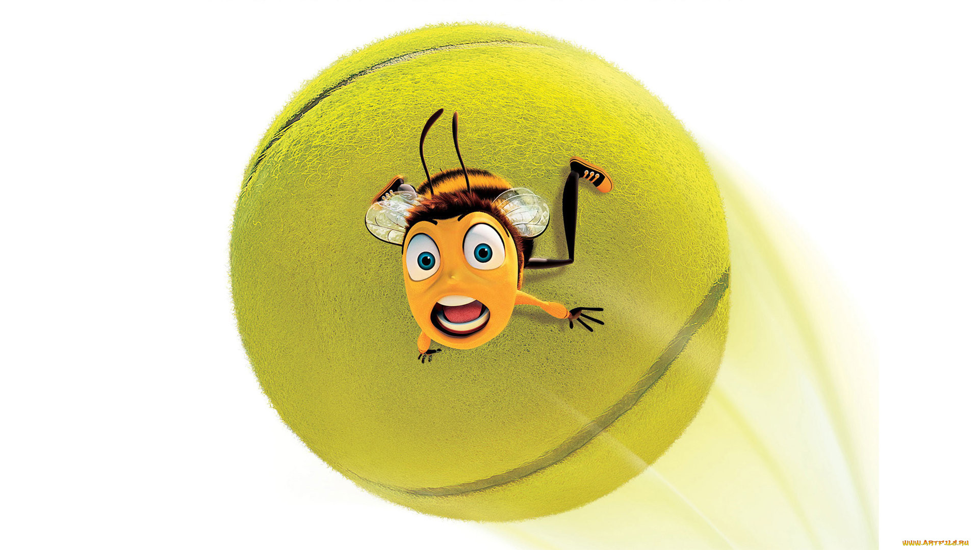 bee movie, , 